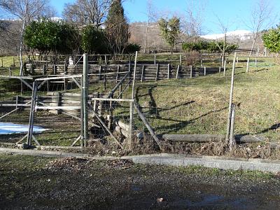 PRATO PER CAVALLI, Auf Anfrage, 6986 Miglieglia, Ticino, CH