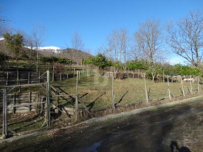 PRÉ POUR CHEVAUX