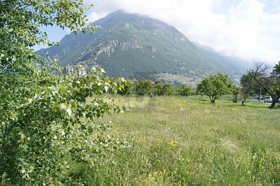 PER COMMERCIO E ABITAZIONE, Sur demande, 1920 Martigny, Ticino, CH