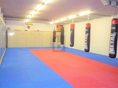 Multifunctional gym, Sur demande, 1305 Penthalaz, Ticino, CH