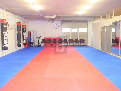 Multifunctional gym, Sur demande, 1305 Penthalaz, Ticino, CH