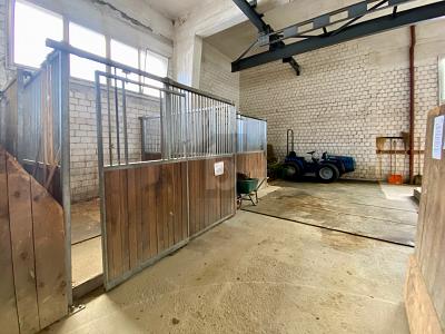 PROFITEZ DES VACANCES AVEC VOTRE CHEVAL, Auf Anfrage, 7166 Trun, Ticino, CH