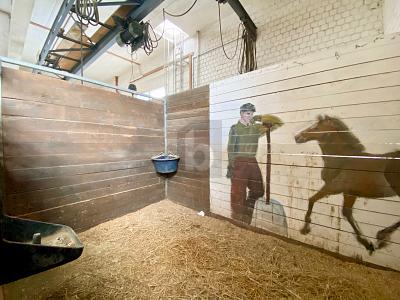 PROFITEZ DES VACANCES AVEC VOTRE CHEVAL, Auf Anfrage, 7166 Trun, Ticino, CH