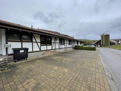 BÜRO, LAGER MIT ZWEI WOHNUNGEN, Auf Anfrage, 4422 Arisdorf, Ticino, CH