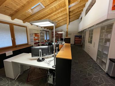 BÜRO, LAGER MIT ZWEI WOHNUNGEN, Auf Anfrage, 4422 Arisdorf, Ticino, CH