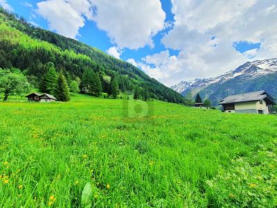 TERRAINS CONSTRUCTIBLES, AGRICOLES ET FORESTIERS, Sur demande, 1929 Trient, Ticino, CH