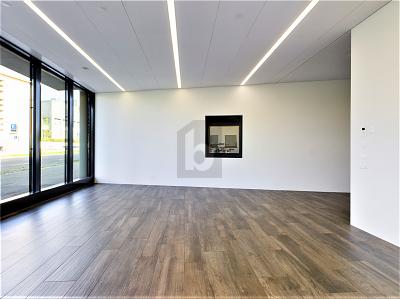 Light-filled in a central location, Auf Anfrage, 6300 Zug, Ticino, CH