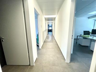 NUOVO STABILE ARTIGIANALE/COMMERCIALE, Auf Anfrage, 6528 Camorino, Ticino, CH