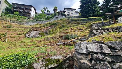 RUHIG UND SONNIG MIT AUSSICHT, Auf Anfrage, 6516 Cugnasco, Ticino, CH