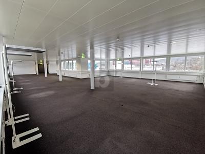 SPACIEUX, LUMINEUX ET IDÉALEMENT SITUÉ, Auf Anfrage, 4133 Pratteln, Ticino, CH