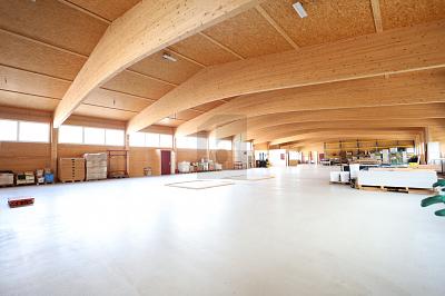 Production space with 6 m clear height, Auf Anfrage, 4538 Oberbipp, Ticino, CH