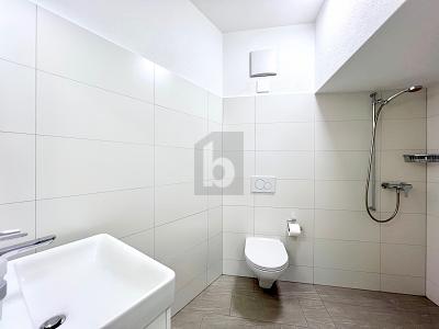 UFFICIO UNICO IN POSIZIONE CENTRALE, Auf Anfrage, 9470 Buchs SG, Ticino, CH