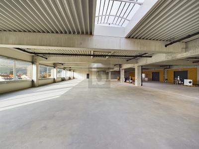 Enorme capannone di montaggio, ideale per la vostra azienda, Auf Anfrage, 9434 Au SG, Ticino, CH