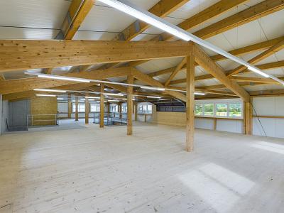NUOVA COSTRUZIONE PER ESIGENZE SU MISURA, Auf Anfrage, 6170 Schüpfheim, Ticino, CH