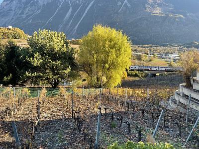 AU MILIEU DES VIGNOBLES PITTORESQUES