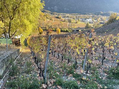 IN MITTEN MALERISCHER WEINBERGE, Auf Anfrage, 3970 Salgesch, Ticino, CH