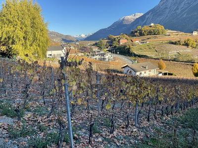 IN MITTEN MALERISCHER WEINBERGE, Auf Anfrage, 3970 Salgesch, Ticino, CH
