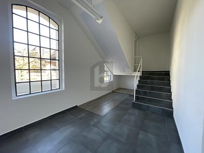 SPAZIO PER IDEE E SVILUPPO, Auf Anfrage, 3380 Wangen an der Aare, Ticino, CH