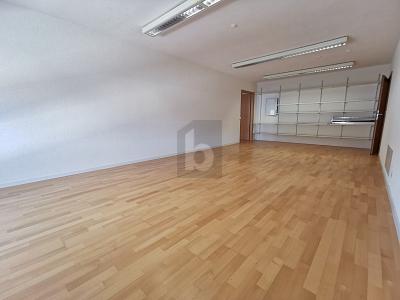 BRIGHT AND SPACIOUS, Auf Anfrage, 4222 Zwingen, Ticino, CH