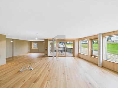 PLEASANT WORKING WITH STYLE, Auf Anfrage, 9430 St. Margrethen, Ticino, CH