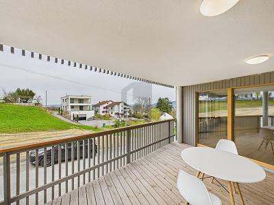 PLEASANT WORKING WITH STYLE, Auf Anfrage, 9430 St. Margrethen, Ticino, CH