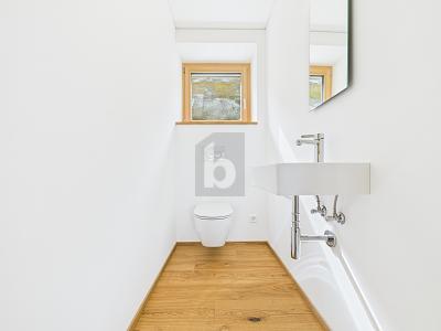 PLEASANT WORKING WITH STYLE, Auf Anfrage, 9430 St. Margrethen, Ticino, CH