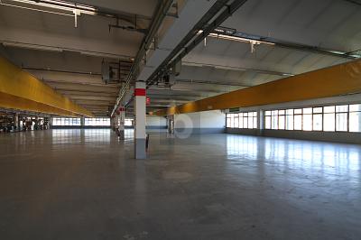 POUR USAGE INDUSTRIEL AVEC MONTE-CHARGE, Su richiesta, 6855 Stabio, Ticino, CH