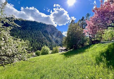 EMPLACEMENT UNIQUE ET ENSOLEILLÉ AVEC RÉSERVE DE TERRAIN CONSTRUCTIBLE, Auf Anfrage, 7477 Filisur, Ticino, CH