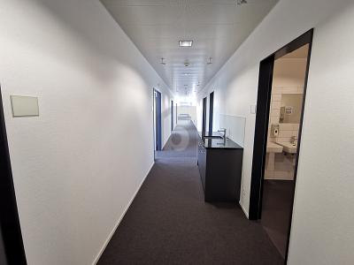 SPACIEUX, LUMINEUX ET BIEN SITUÉ, Auf Anfrage, 4133 Pratteln, Ticino, CH