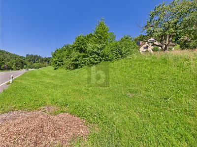 Occasione rara in posizione top, Auf Anfrage, 9442 Berneck, Ticino, CH