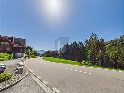 Occasione rara in posizione top, Auf Anfrage, 9442 Berneck, Ticino, CH