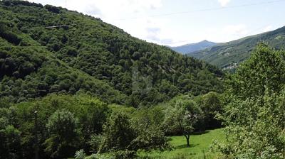 PROJET DE CONSTRUCTION APPROUVÉ AVEC ÉTUDE DE PROJET, Su richiesta, 6959 Certara, Ticino, CH