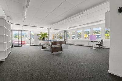 REPRESENTATIVE AND MULTIPURPOSE, Auf Anfrage, 8832 Wollerau, Ticino, CH