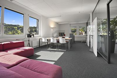 REPRESENTATIVE AND MULTIPURPOSE, Auf Anfrage, 8832 Wollerau, Ticino, CH