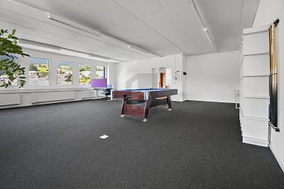 REPRESENTATIVE AND MULTIPURPOSE, Auf Anfrage, 8832 Wollerau, Ticino, CH