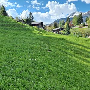 Emplacement calme et ensoleillé avec vue, Auf Anfrage, 6774 Dalpe, Ticino, CH