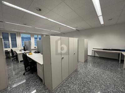 SPACIOUS, BRIGHT & WELL CONNECTED, Auf Anfrage, 8952 Schlieren, Ticino, CH