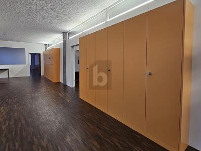 Espace de travail moderne avec terrasse, Auf Anfrage, 9053 Teufen AR, Ticino, CH