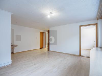 POLYVALENT ET SITUÉ AU CENTRE, Auf Anfrage, 3752 Wimmis, Ticino, CH