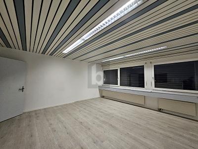 RISTRUTTURATO - PERSONALIZZABILE CON TERRAZZA, Auf Anfrage, 8306 Brüttisellen, Ticino, CH