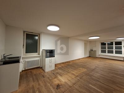 POLYVALENT, IDÉALEMENT SITUÉ, Auf Anfrage, 6472 Erstfeld, Ticino, CH