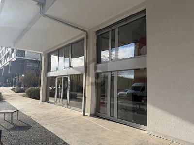 SPAZI LUMINOSI E MODULABILI, Sur demande, 1260 Nyon, Ticino, CH