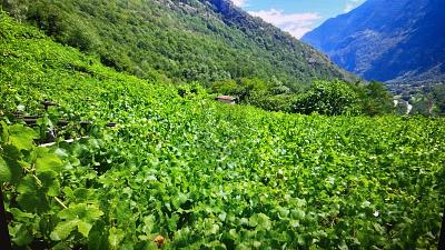 GRAND TERRAIN, DANS UN EMPLACEMENT CALME