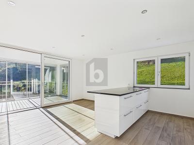 REPRÉSENTATIF DANS UN EMPLACEMENT CALME, Auf Anfrage, 6015 Luzern, Ticino, CH
