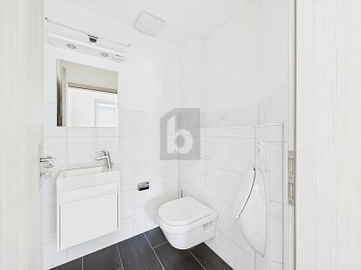 REPRÉSENTATIF DANS UN EMPLACEMENT CALME, Auf Anfrage, 6015 Luzern, Ticino, CH