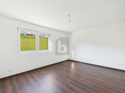 REPRÉSENTATIF DANS UN EMPLACEMENT CALME, Auf Anfrage, 6015 Luzern, Ticino, CH