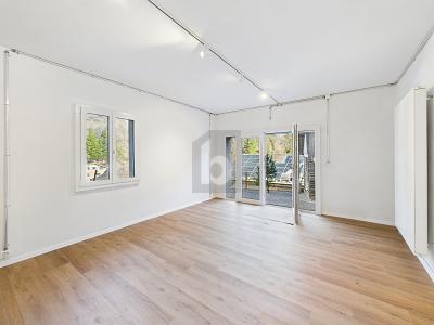 MODERNO RISTRUTTURATO IN POSIZIONE CENTRALE, Auf Anfrage, 7450 Tiefencastel, Ticino, CH