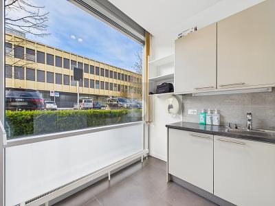 STUDIO & UFFICIO - SUBAFFITTO POSSIBILE, Sur demande, 1260 Nyon, Ticino, CH