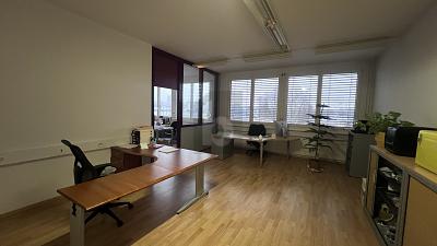 LUMINEUX, CENTRAL, FONCTIONNEL, POLYVALENT, Sur demande, 1227 Les Acacias, Ticino, CH