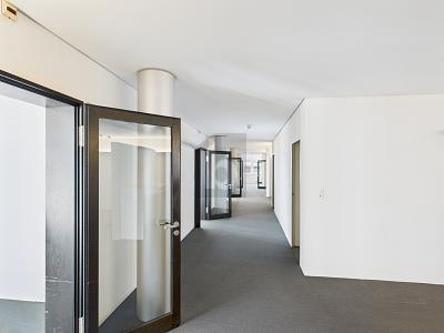 LICHTDURCHFLUTET UND MÖBLIERT, Auf Anfrage, 9015 St. Gallen, Ticino, CH